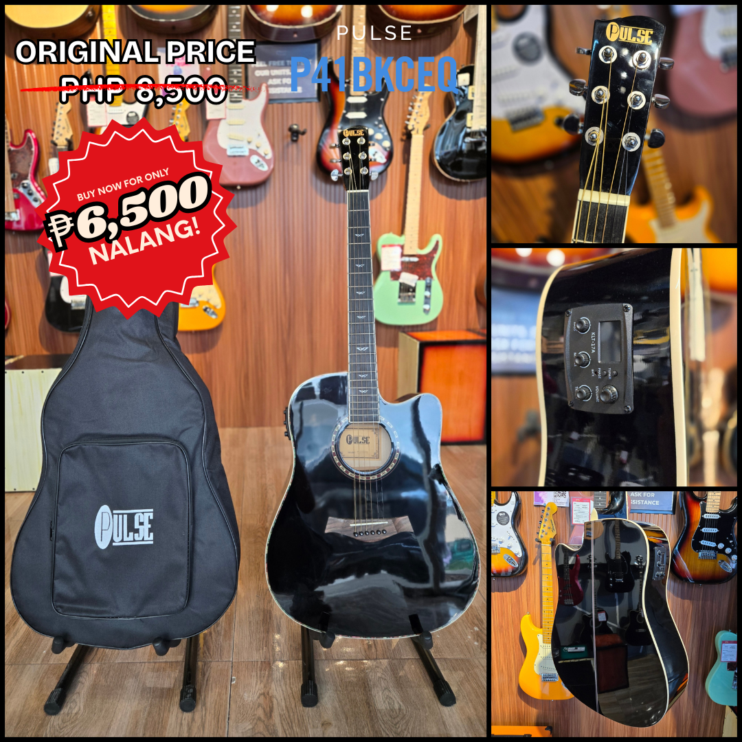 Product image - Pulse P41CEQ w/ Pick-Up