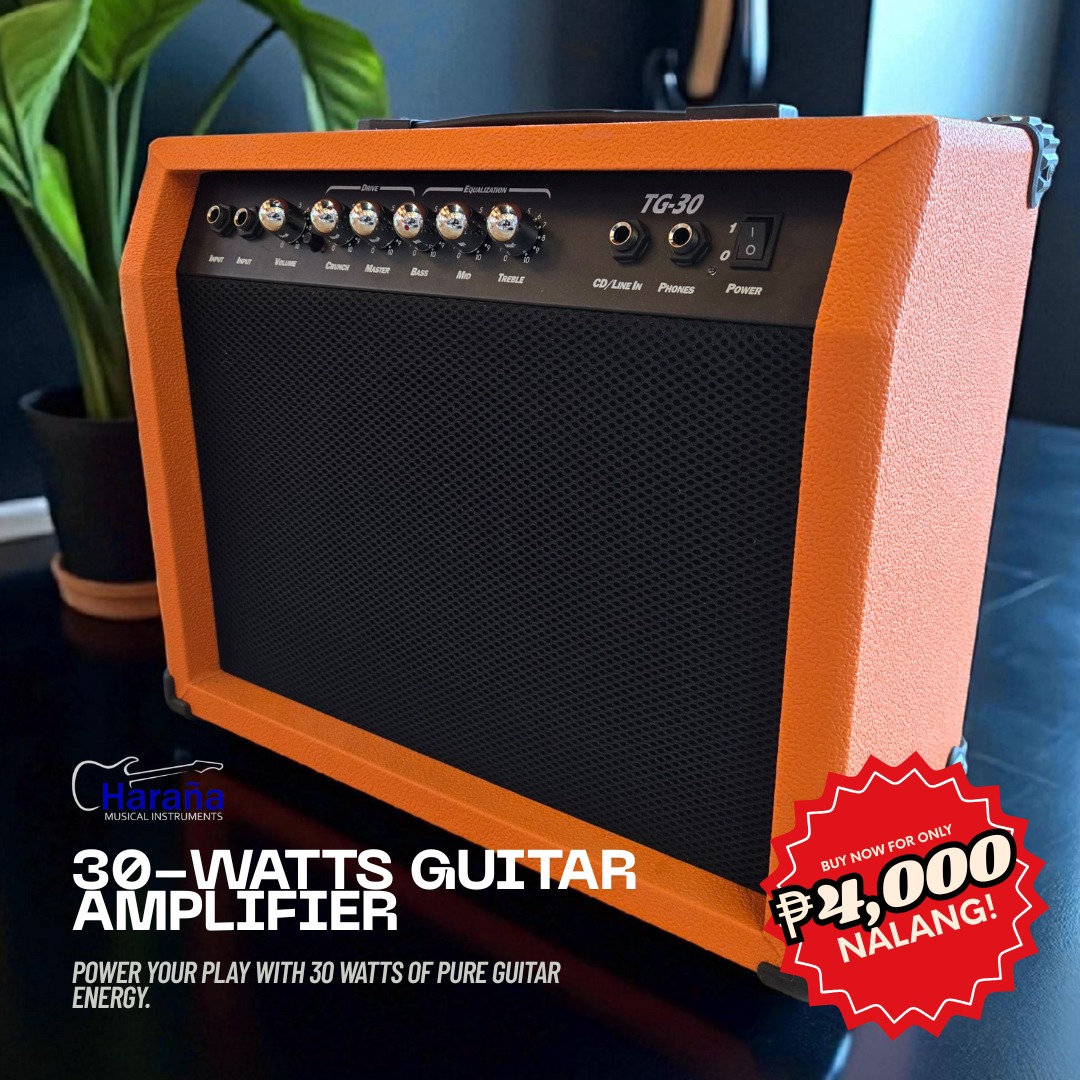 Product image - TG-30 Watts Guitar Amplifier