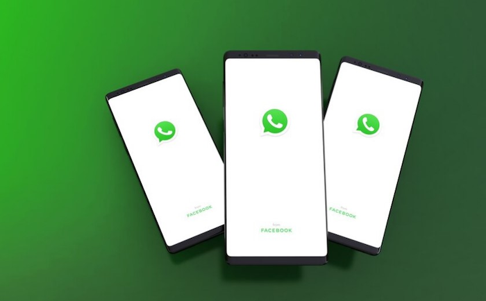 Executing Your WhatsApp Blast