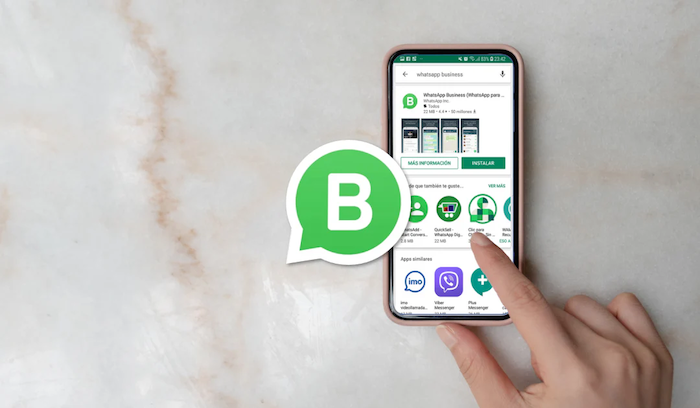 How WhatsApp Business Works