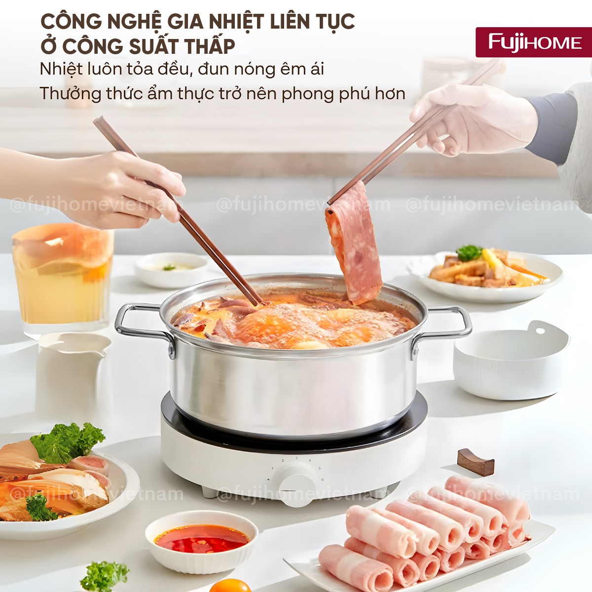 Bếp từ fujihome