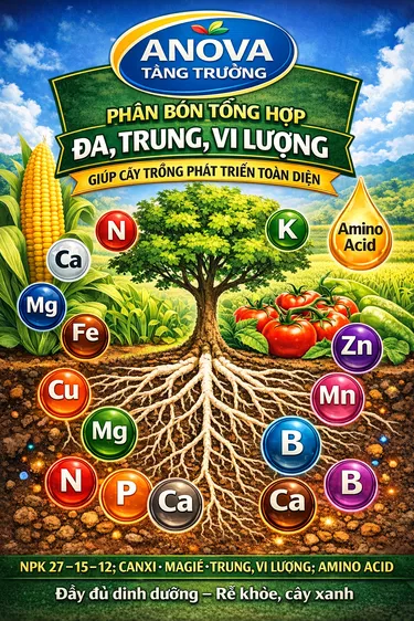 Product image - ANOVA