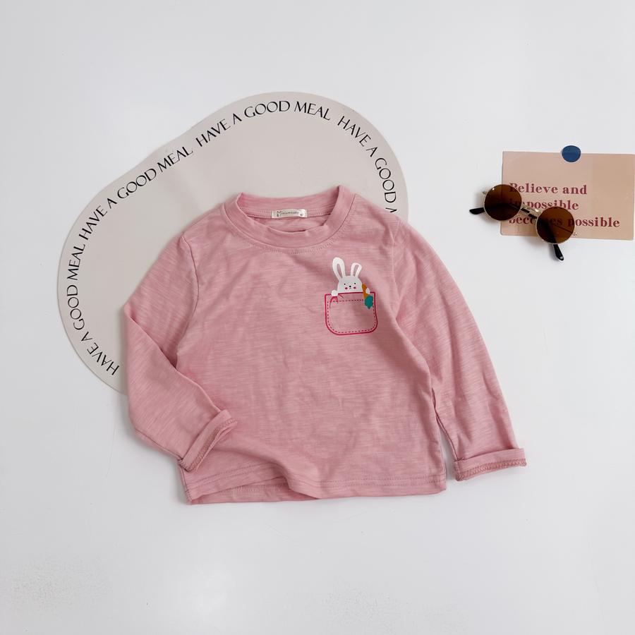 A1663- áo cổ tròn in túi, đầu thú via thường hồng