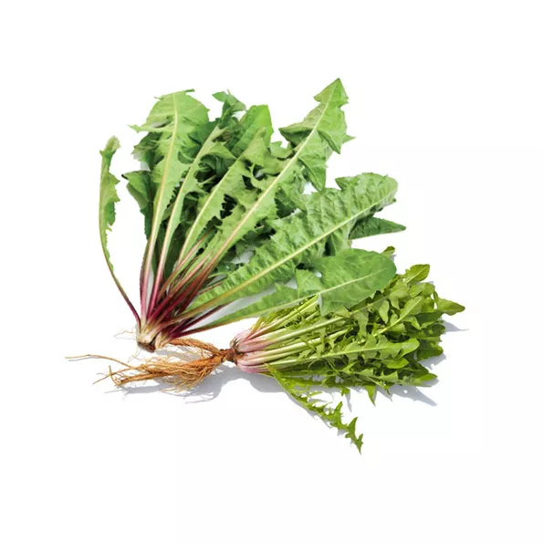 Product image - G07 - Hạt giống Bồ Công Anh F1