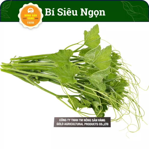 Product image - B09 - Hạt hạt giống Bí Siêu Ngọn