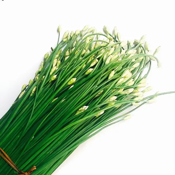 Product image - E11 - Hạt giống Hẹ Ăn Bông F1