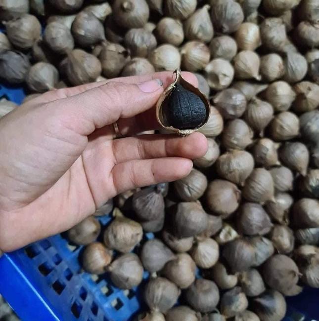 Product image - TỎI CÔ ĐƠN YÊN CHÂU gói 0,5KG