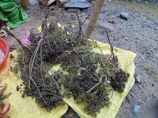 Product image - MẮC KHÉN x 0,5KG