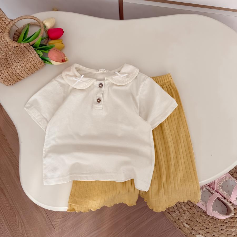 SB2379- bộ cổ zen mix màu bevang