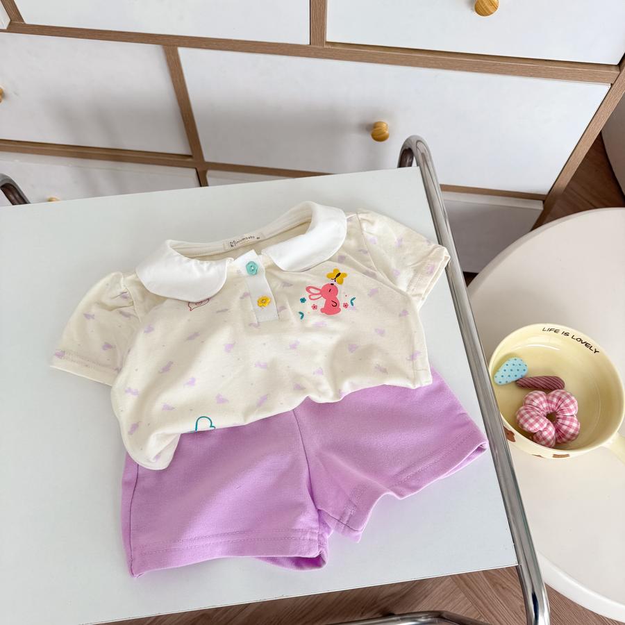 SB2379- bộ cổ zen mix màu thohong