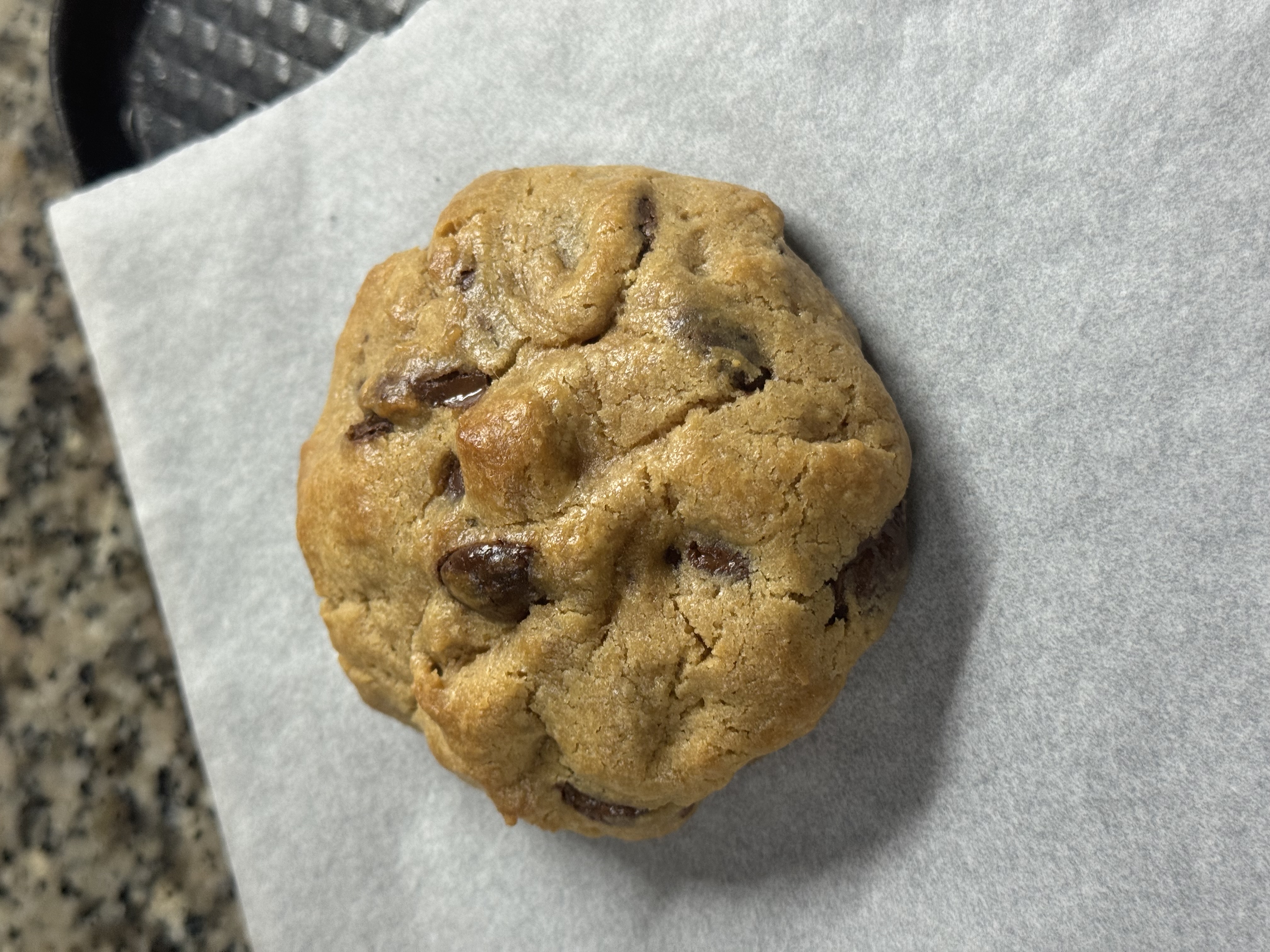 Chocochip Cookie