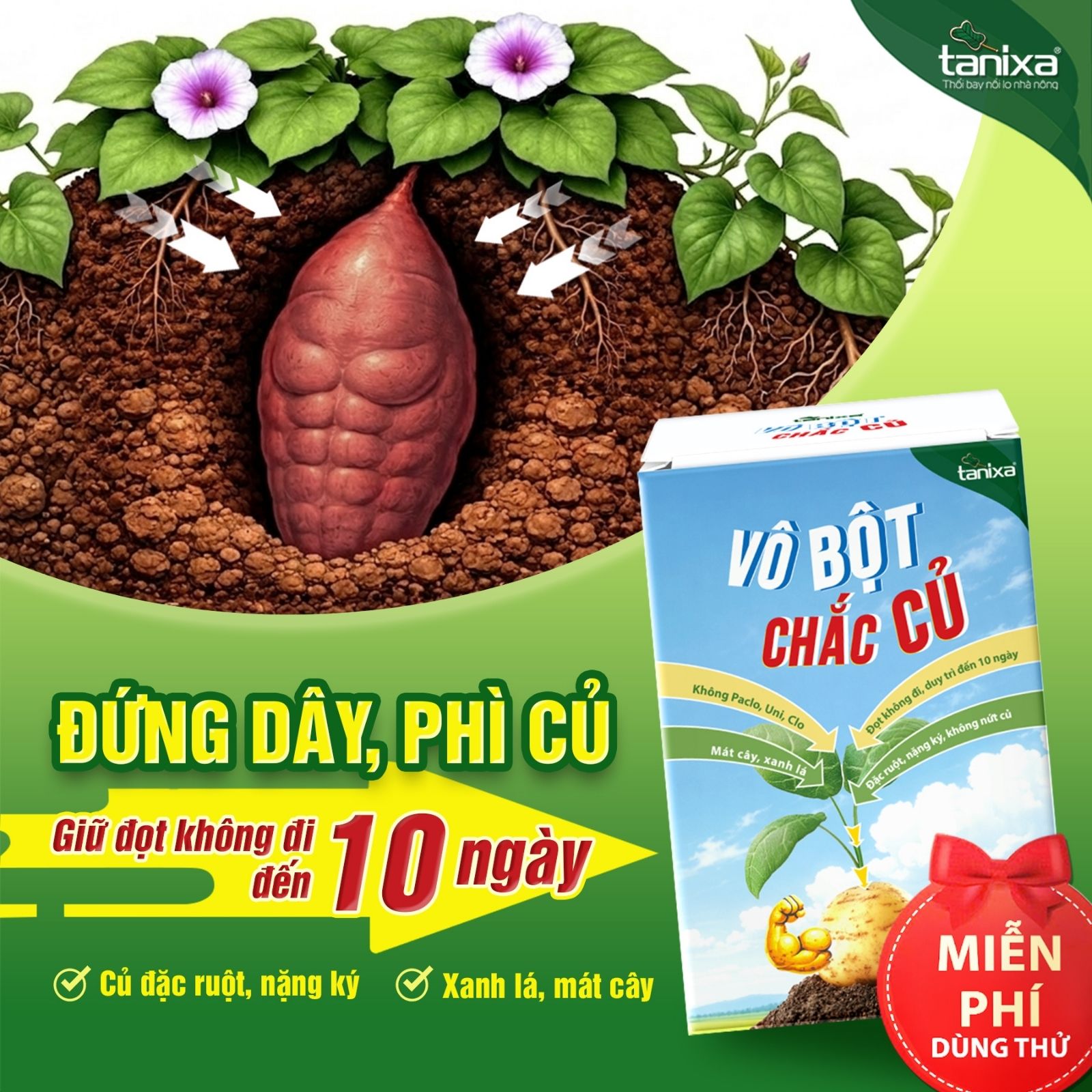 poster-vo-bot-chac-cu