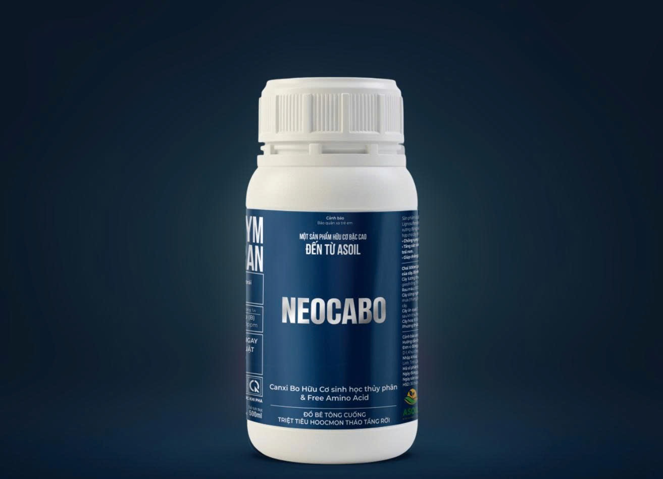 NEOCABO – Đổ bê tông cuống trái