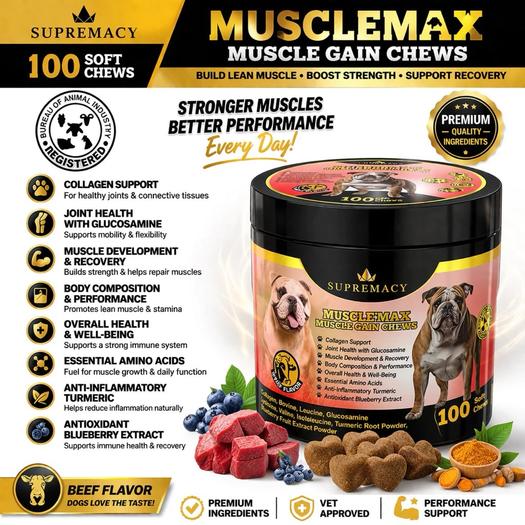 Product image - Musclemax Muscle Gain Chewable Vitamins for Dogs