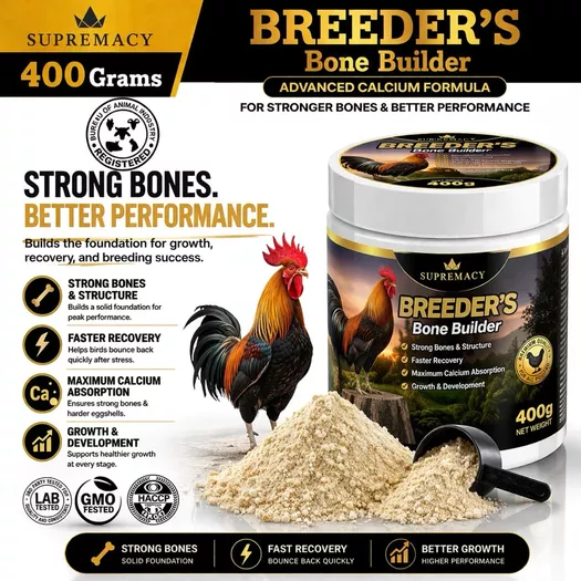 Product image - Supremacy Breeder’s Bone Builder – 400g Strong Bones • Healthy Growth • Faster Recovery Premium Calcium Support for Gamefowl & Breeding Stock