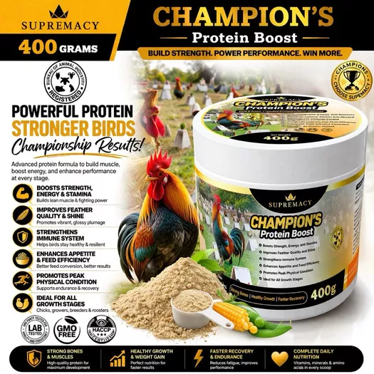 Product image - 400 Grams Supremacy Champion’s Protein Boost – 400g /  Strong Bones • Healthy Growth • Faster Recovery Premium Nutrition for Strength, Recovery & Endurance