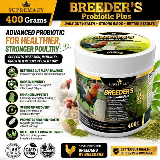 Product image - 400 GRAMS Supremacy Breeders Probiotics Plus  Strong Bones • Healthy Growth • Faster Recovery Premium Digestive Support for Gamefowl Health & Performance
