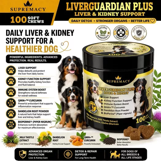 Product image - Liverguardian Plus Chewable Liver and kidney Vitamins for Dogs