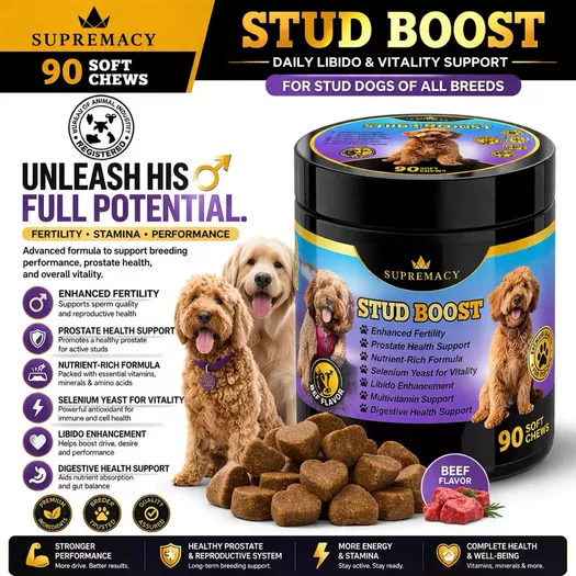 Product image - Stud Boost Enhance fertility Chewable Vitamins for Sire Dog