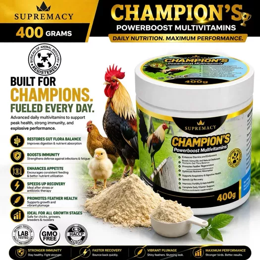 Product image - 400 grams Supremacy Champion’s PowerBoost Multivitamins  Stronger • Faster • Unstoppable / Premium Nutrition for Peak Performance Gamefowl