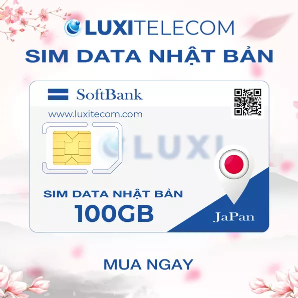 Product image - SoftBank 100GB SIM – 1 Year Prepaid Plan