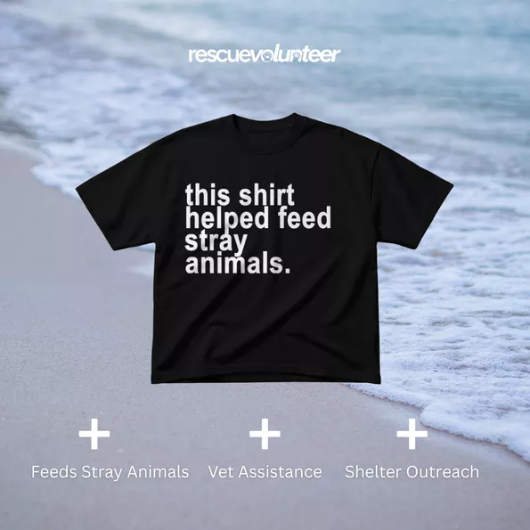 Product image - This Shirt Black (2 items left)