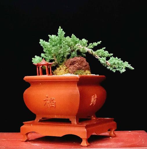 Product image - Juniper Fortune Landscape