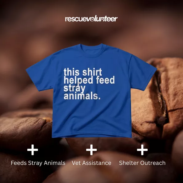 Product image - This Shirt Cobalt Blue (16 items left)