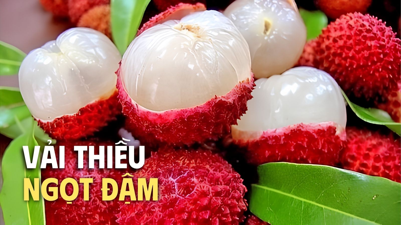 Mua vải thiều