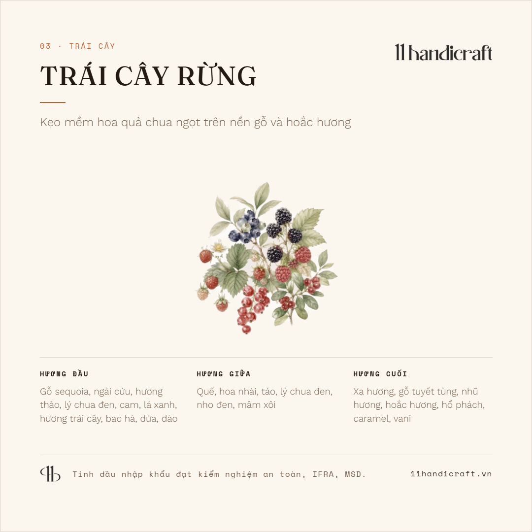 Tinh dầu cao cấp 10ml