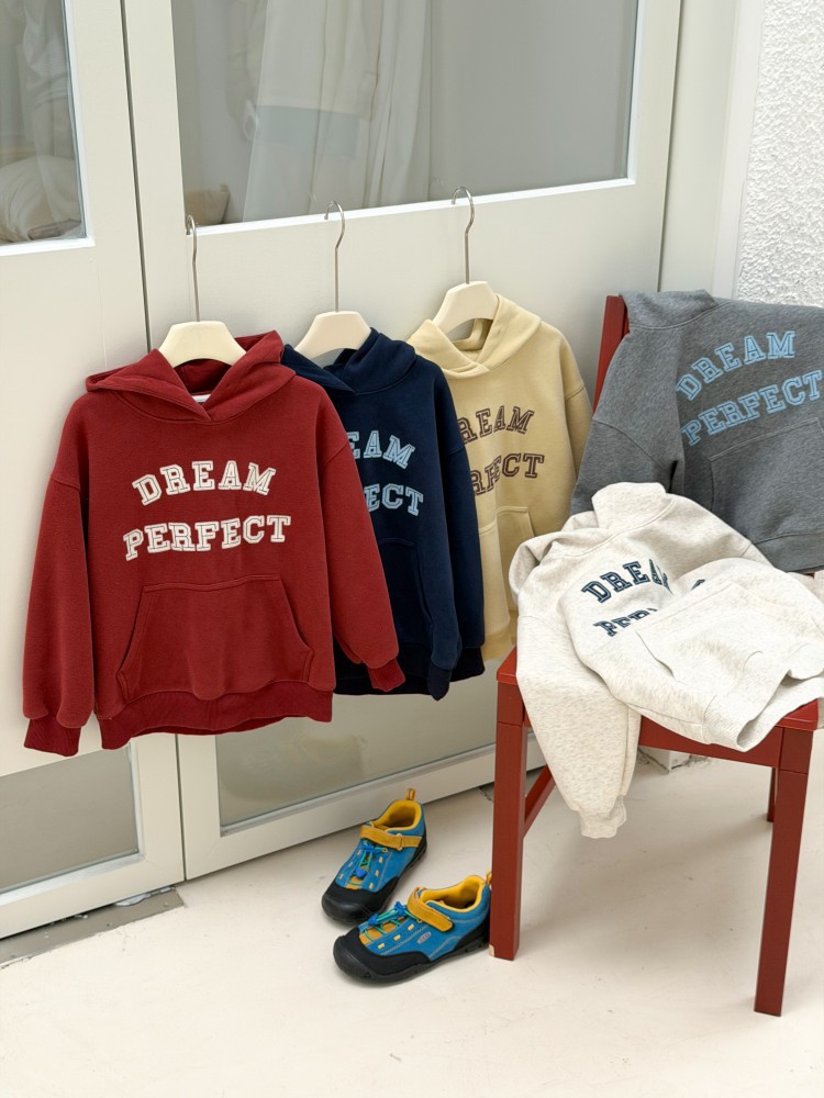 Áo hoodie AMBB dream perfect 9290