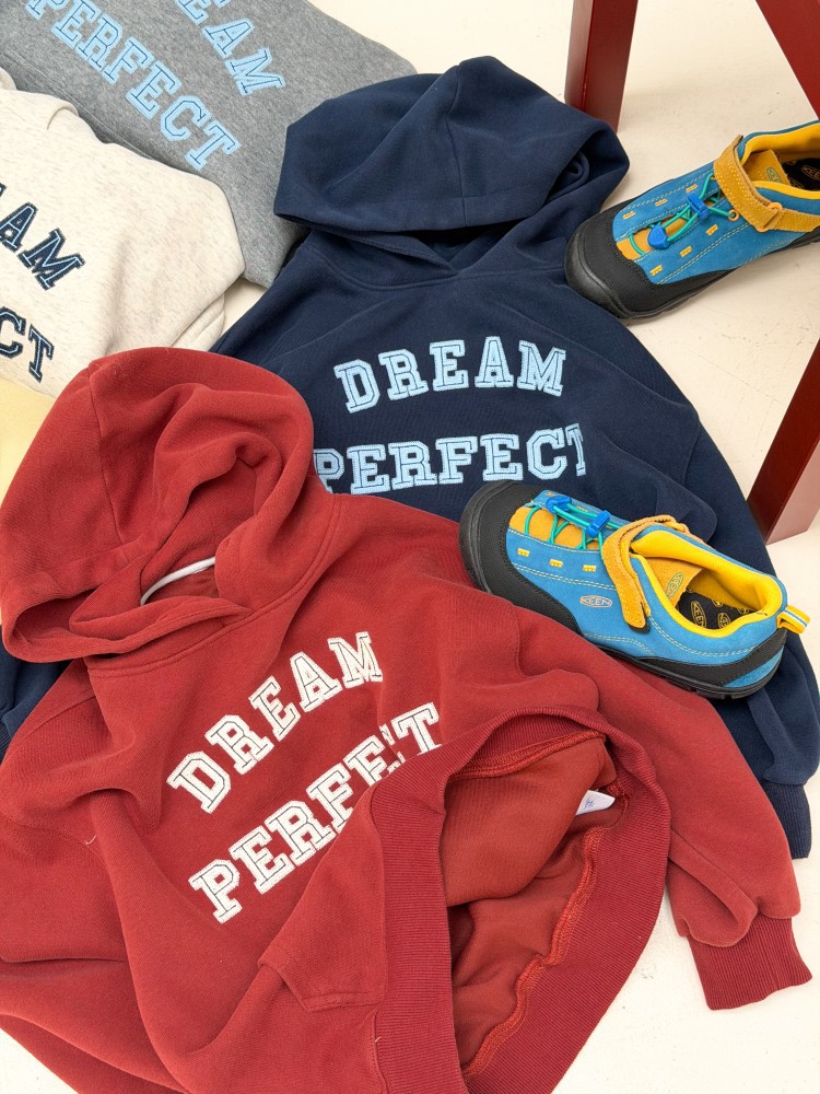 Áo hoodie AMBB dream perfect 9290