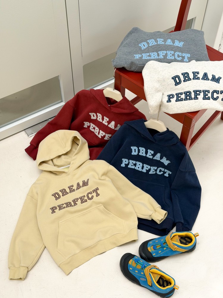 Áo hoodie AMBB dream perfect 9290