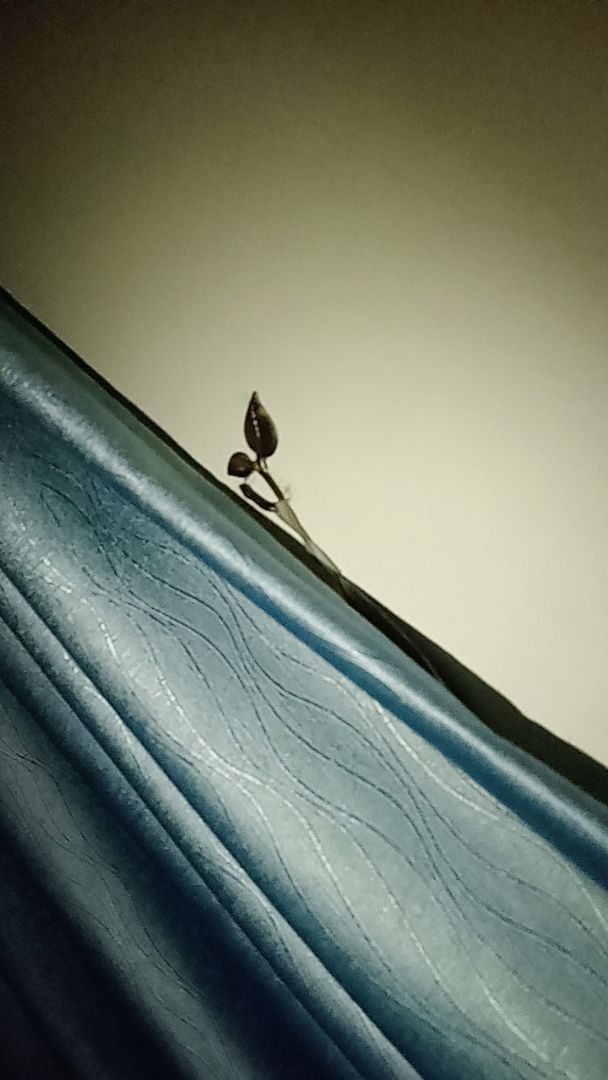 _0