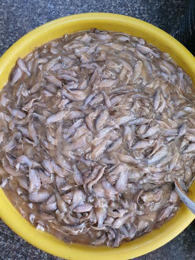 Product image - Mắm chốt không chao đường Hủ 500gram