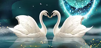 Product image - หงส์ขาวคู่