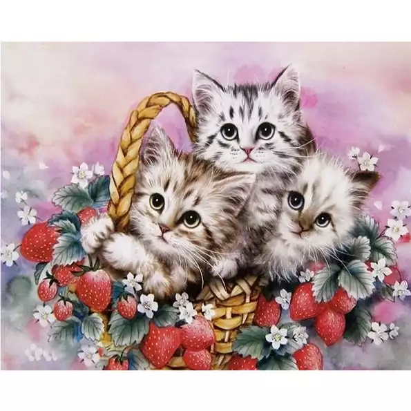 Product image - กระเช้าแมว