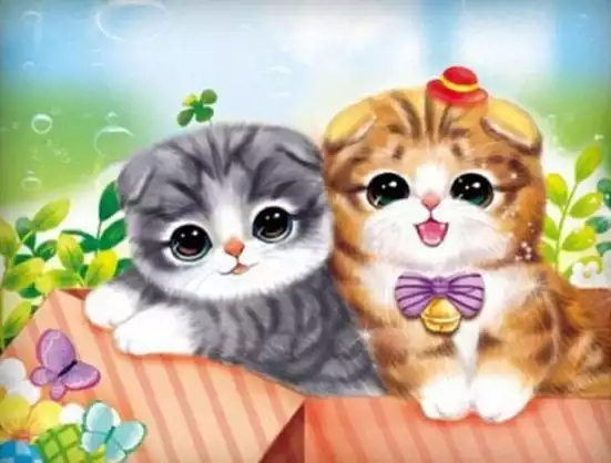 Product image - แมวสก๊อตติส