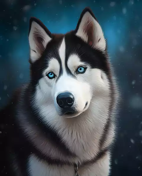 Product image - หมาไซ