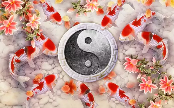 Product image - ปลาคาร์ปหยินหยาง