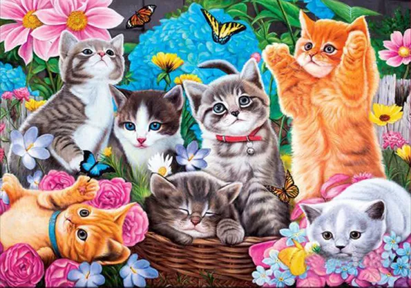 Product image - แก๊งแมว หลากสี