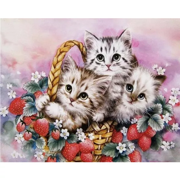 Product image - กระเช้าแมว