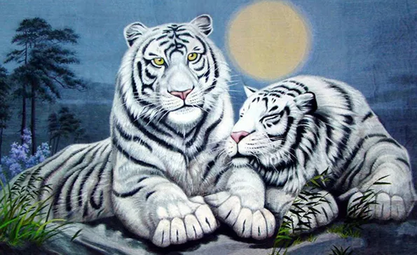 Product image - เสือขาวคู่