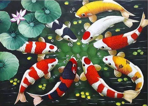 Product image - ปลาคาร์ป 9 ตัว