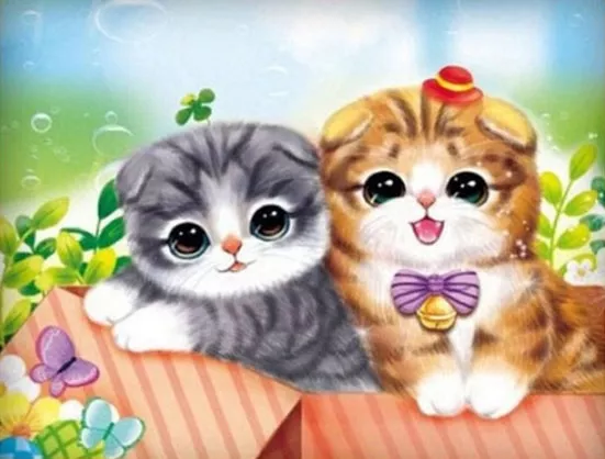 Product image - แมวสก๊อตติส