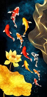 Product image - ปลาคาร์ปบัวทอง