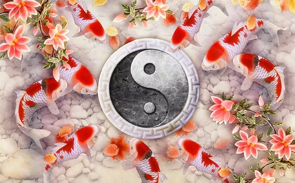 Product image - ปลาคาร์ปหยินหยาง