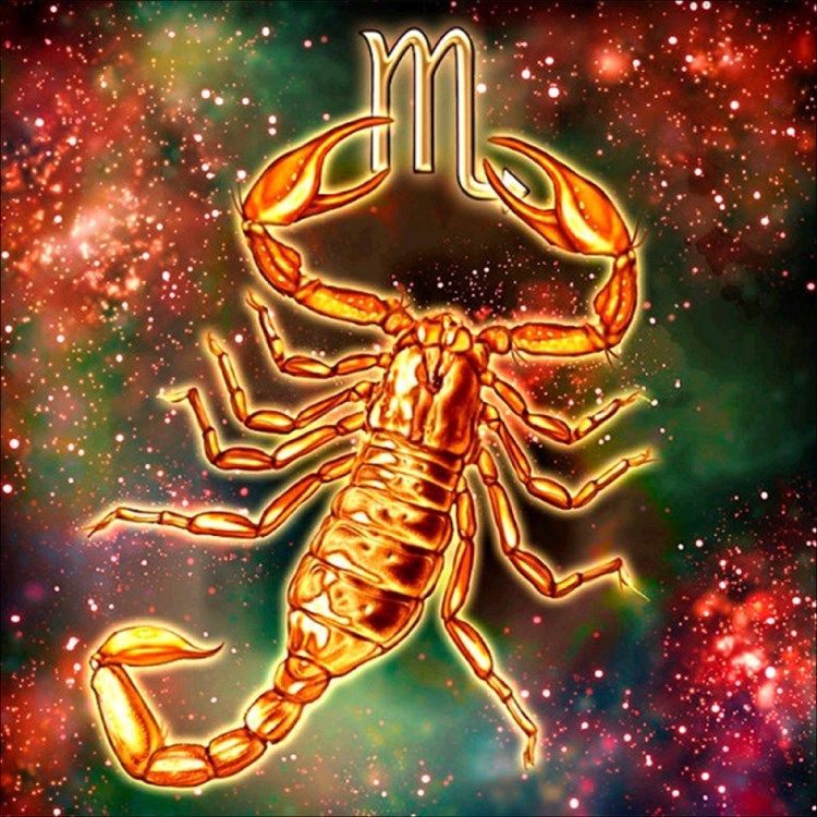 Scorpio(ราศีพิจิก)