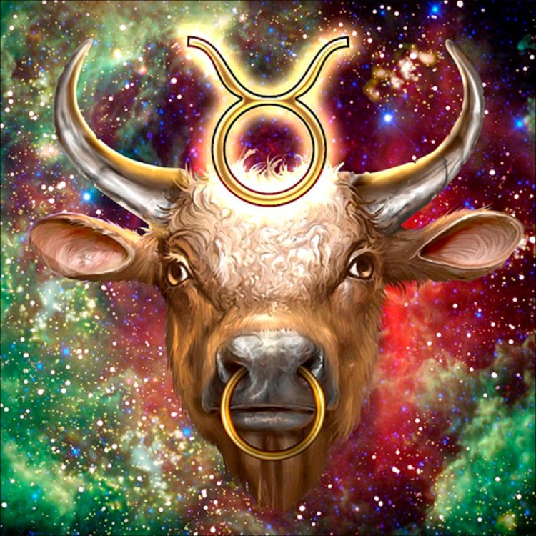 Taurus(ราศีพฤษภ)