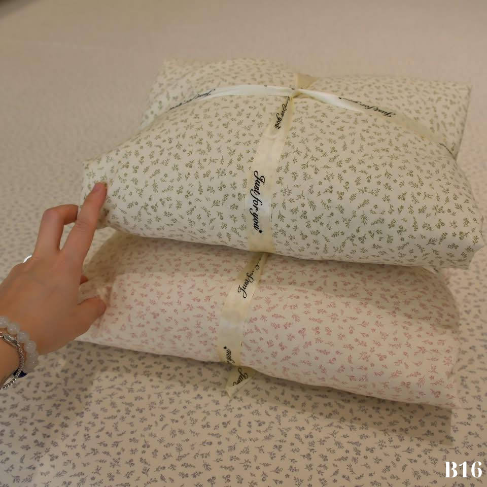 B16 BO GA_thumbnail_12